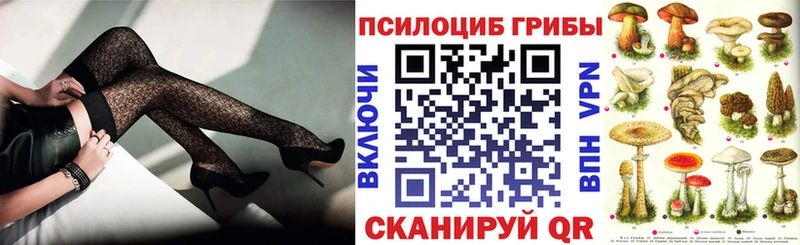 Псилоцибиновые грибы MAGIC MUSHROOMS  сайты даркнета наркотические препараты  Щёлкино  OMG как войти 